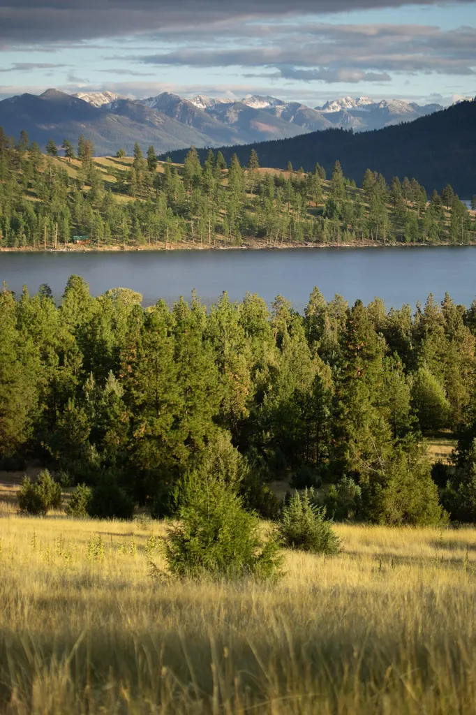 Nhn Cromwell Island Road Dayton MT 59914