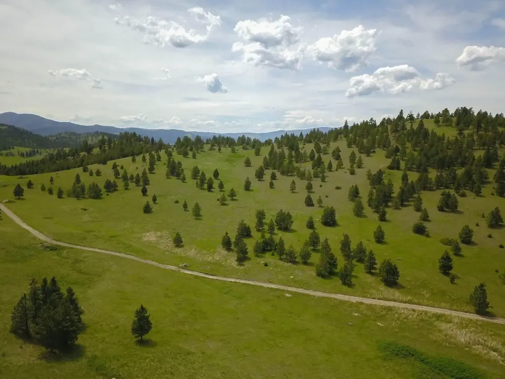 Tbd Highway 12 W Helena MT 59601