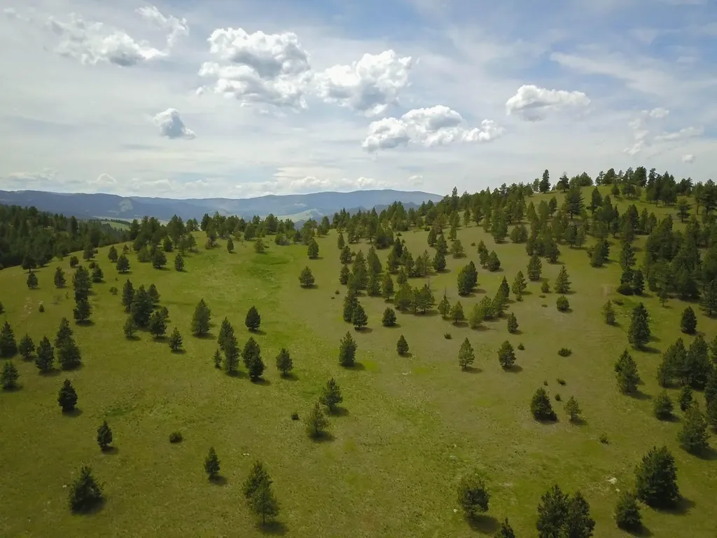 Tbd Highway 12 W Helena MT 59601