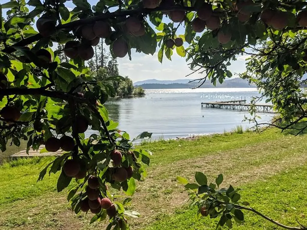 41322 Mello Cove Lane Dayton MT 59914