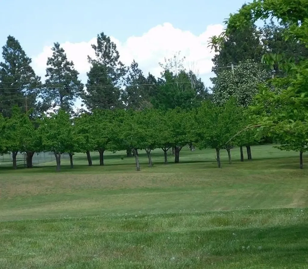 41322 Mello Cove Lane Dayton MT 59914