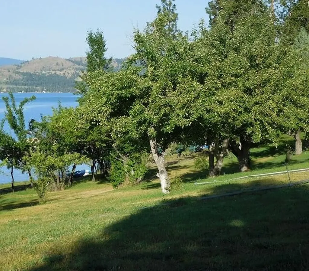41322 Mello Cove Lane Dayton MT 59914