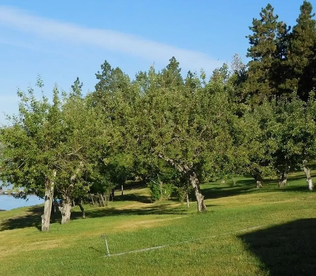 41322 Mello Cove Lane Dayton MT 59914