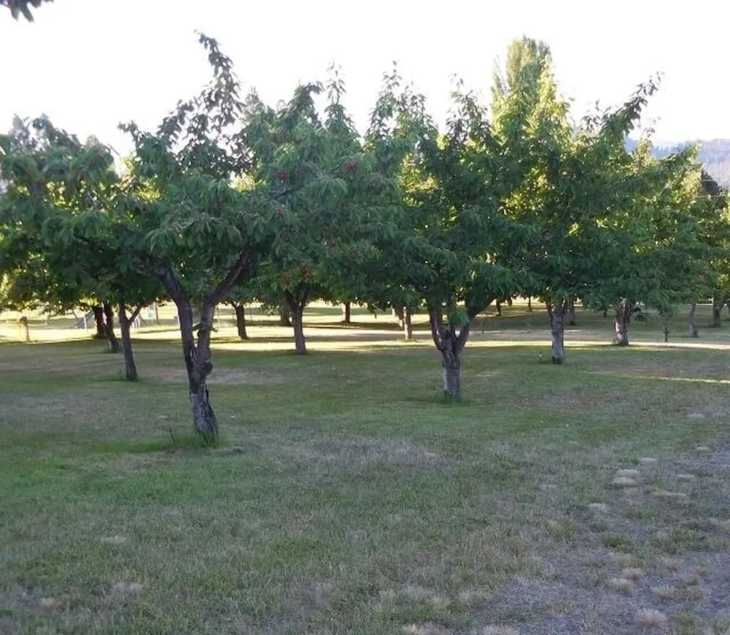 41322 Mello Cove Lane Dayton MT 59914