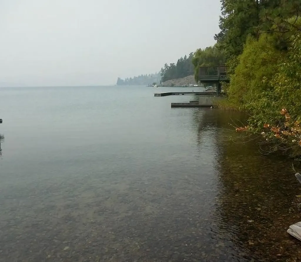 41322 Mello Cove Lane Dayton MT 59914