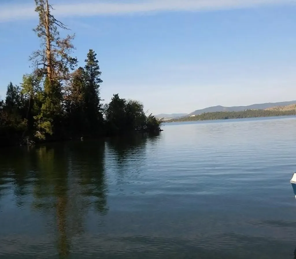 41322 Mello Cove Lane Dayton MT 59914