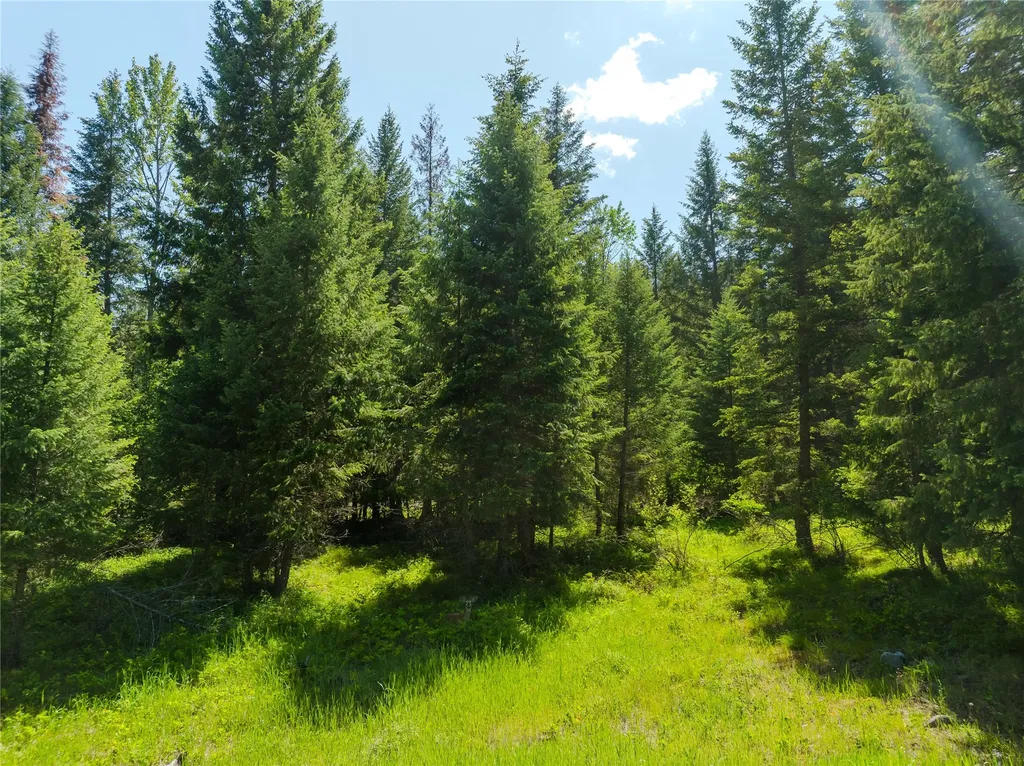 Tbd, Lot 3 Parmenter Road Libby MT 59923