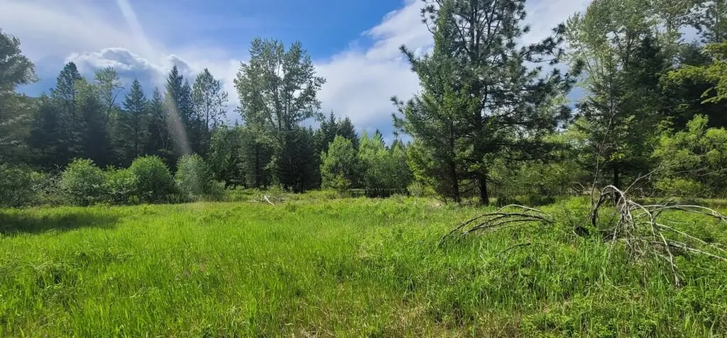 Tbd, Lot 3 Parmenter Road Libby MT 59923