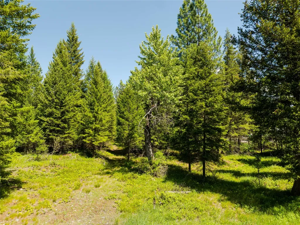 Tbd, Lot 3 Parmenter Road Libby MT 59923