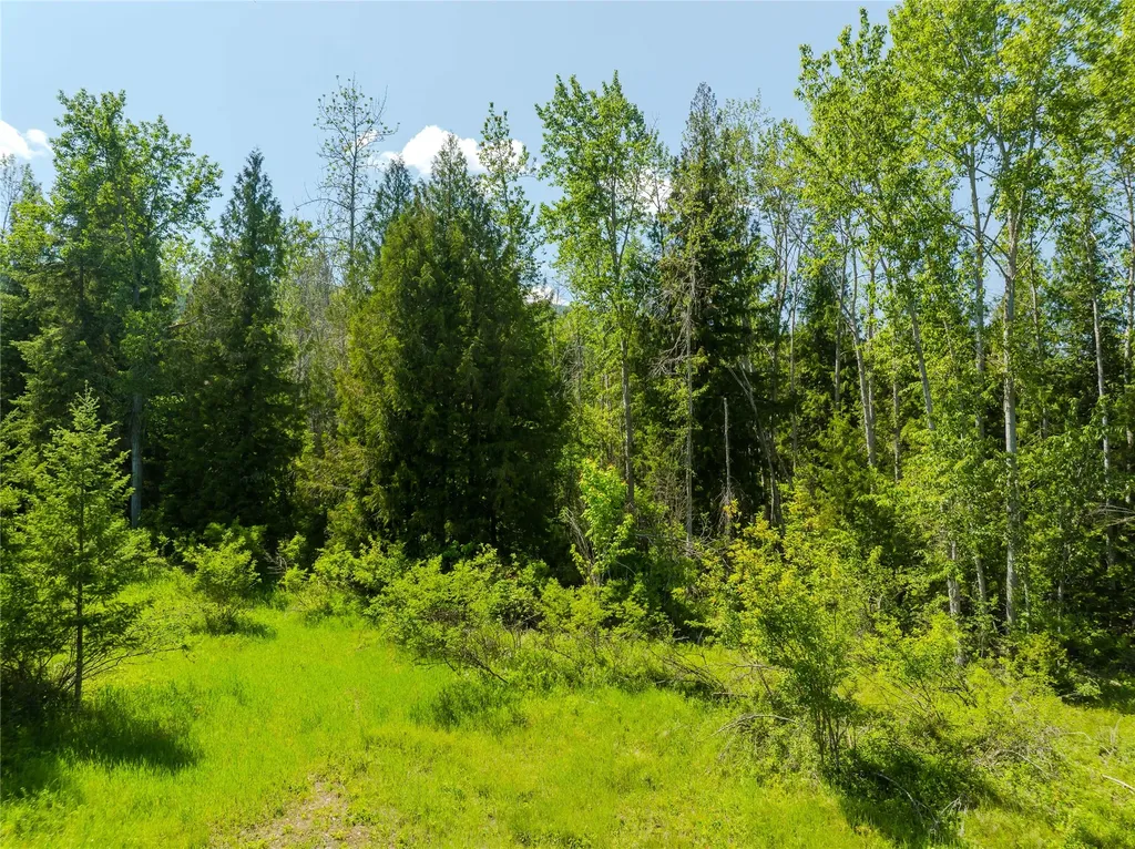 Tbd, Lot 3 Parmenter Road Libby MT 59923