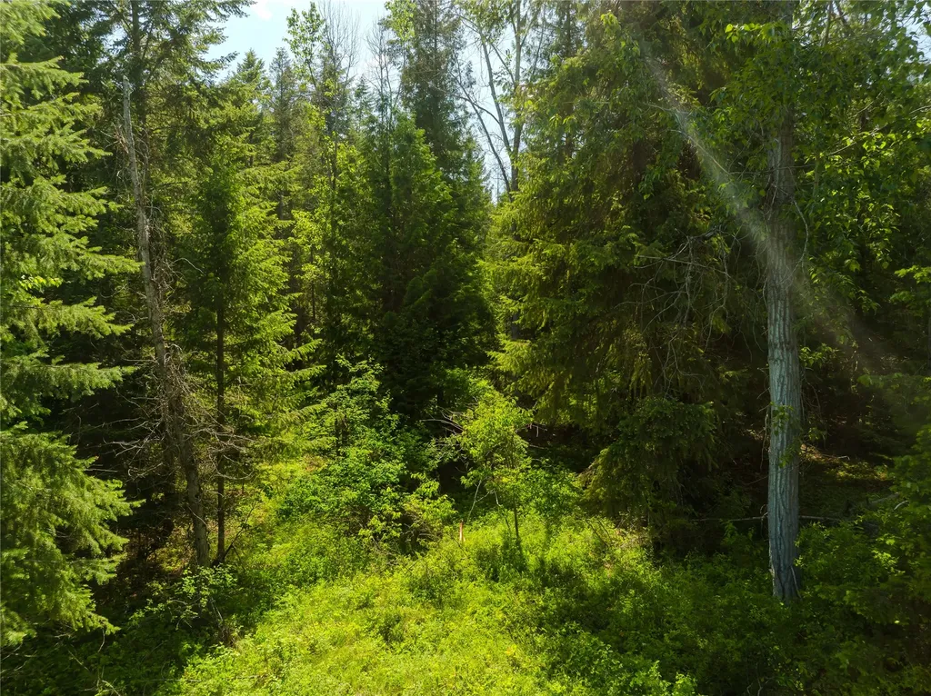 Tbd, Lot 3 Parmenter Road Libby MT 59923