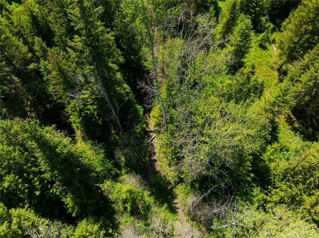 Tbd, Lot 3 Parmenter Road Libby MT 59923