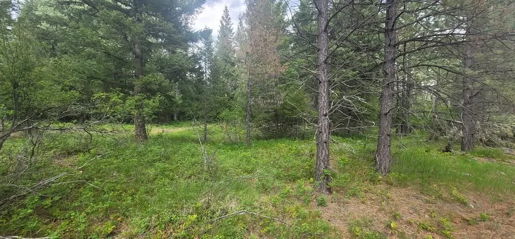 Tbd, Lot 3 Parmenter Road Libby MT 59923