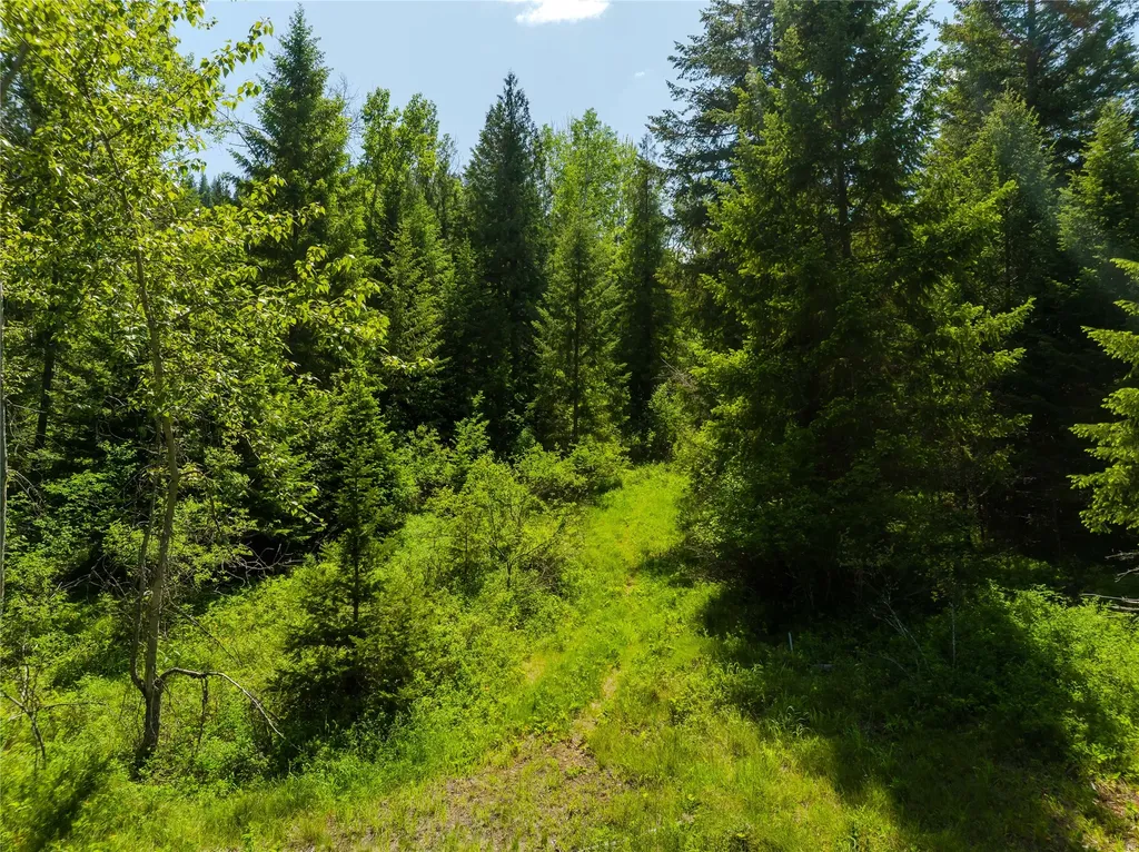 Tbd, Lot 3 Parmenter Road Libby MT 59923