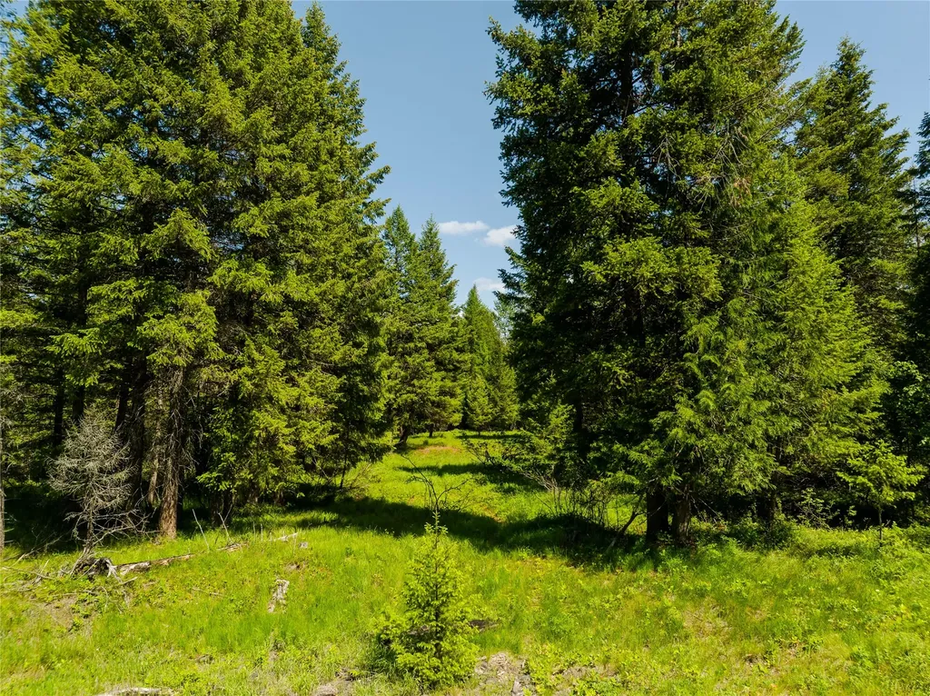 Tbd, Lot 3 Parmenter Road Libby MT 59923