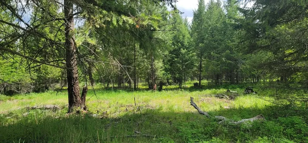 Tbd, Lot 3 Parmenter Road Libby MT 59923