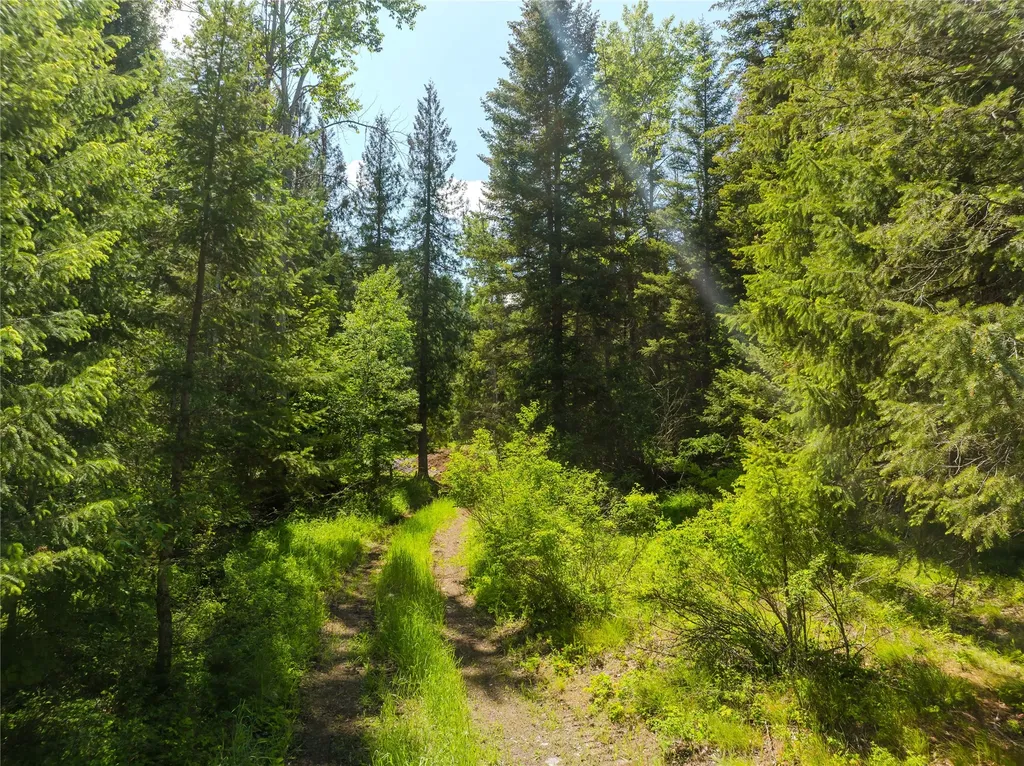 Tbd, Lot 3 Parmenter Road Libby MT 59923