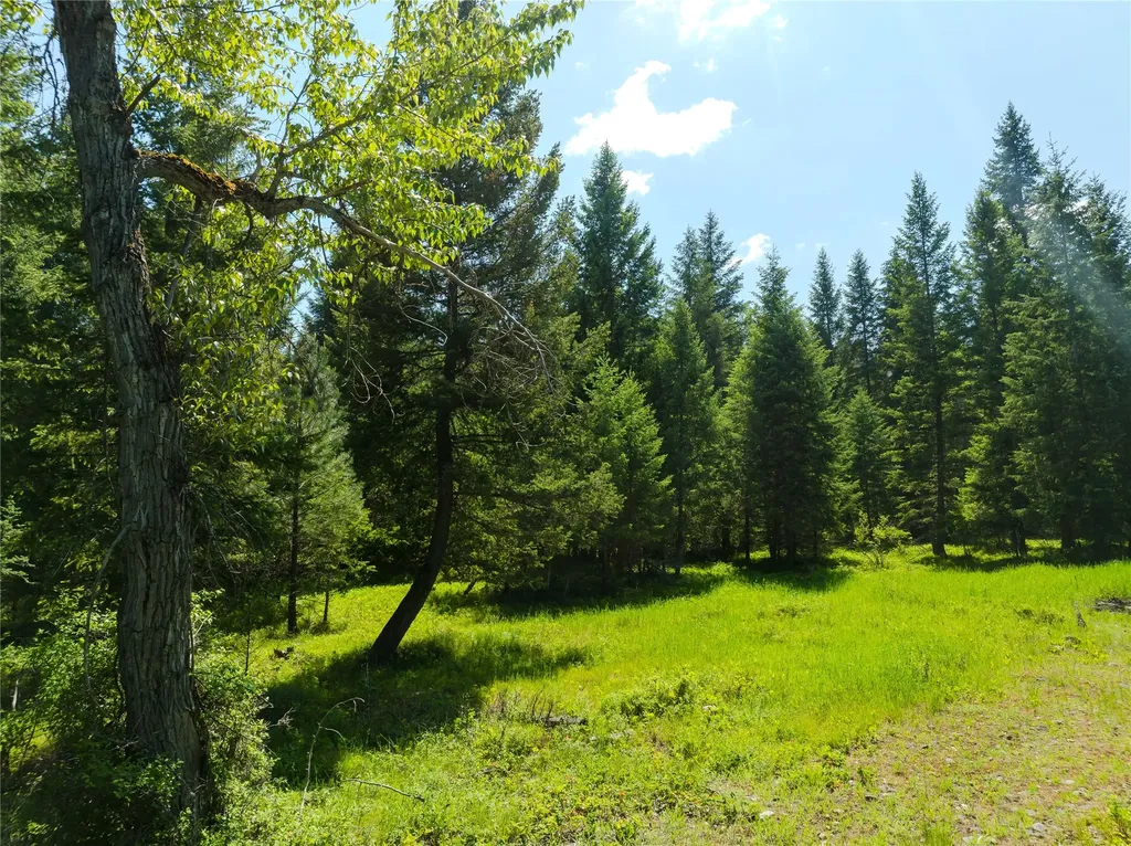 Tbd, Lot 3 Parmenter Road Libby MT 59923