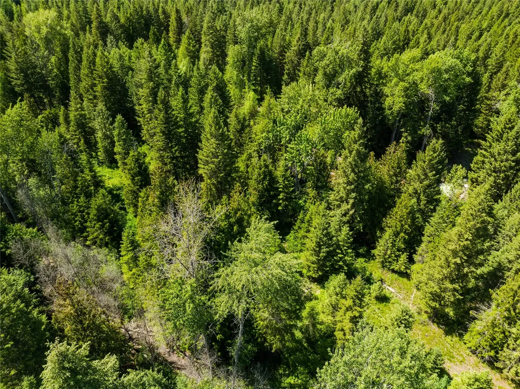 Tbd, Lot 2 Parmenter Road Libby MT 59923
