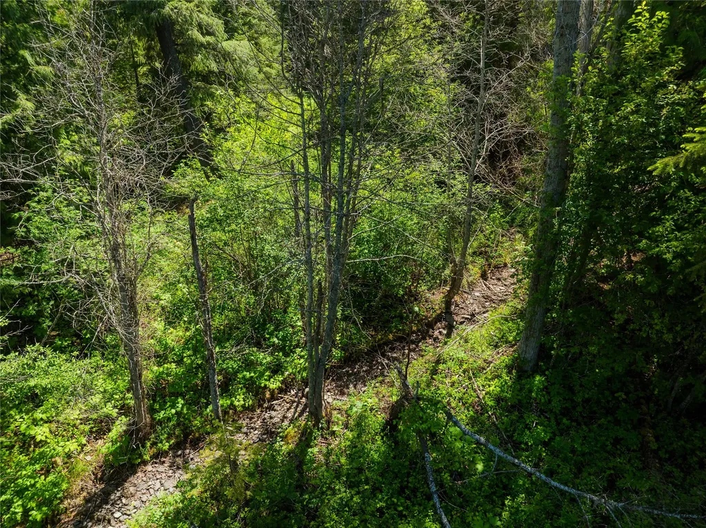 Tbd, Lot 2 Parmenter Road Libby MT 59923