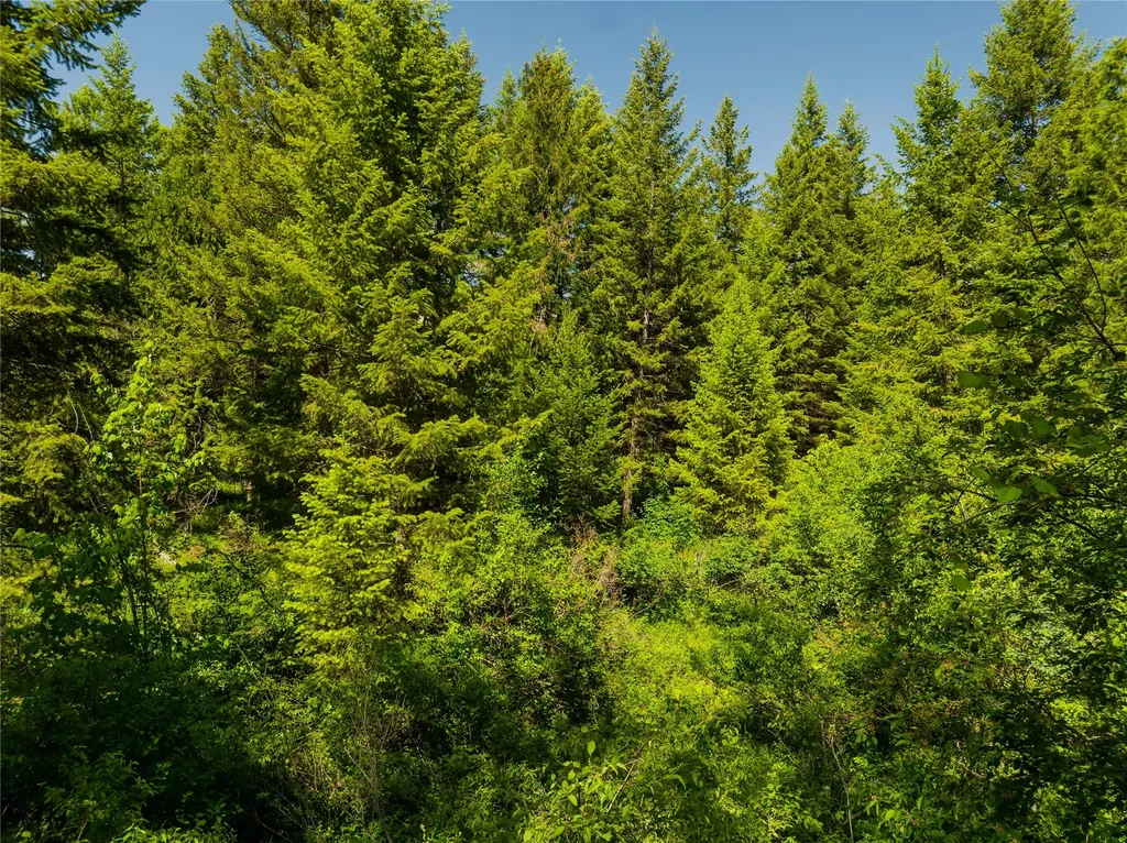 Tbd, Lot 2 Parmenter Road Libby MT 59923