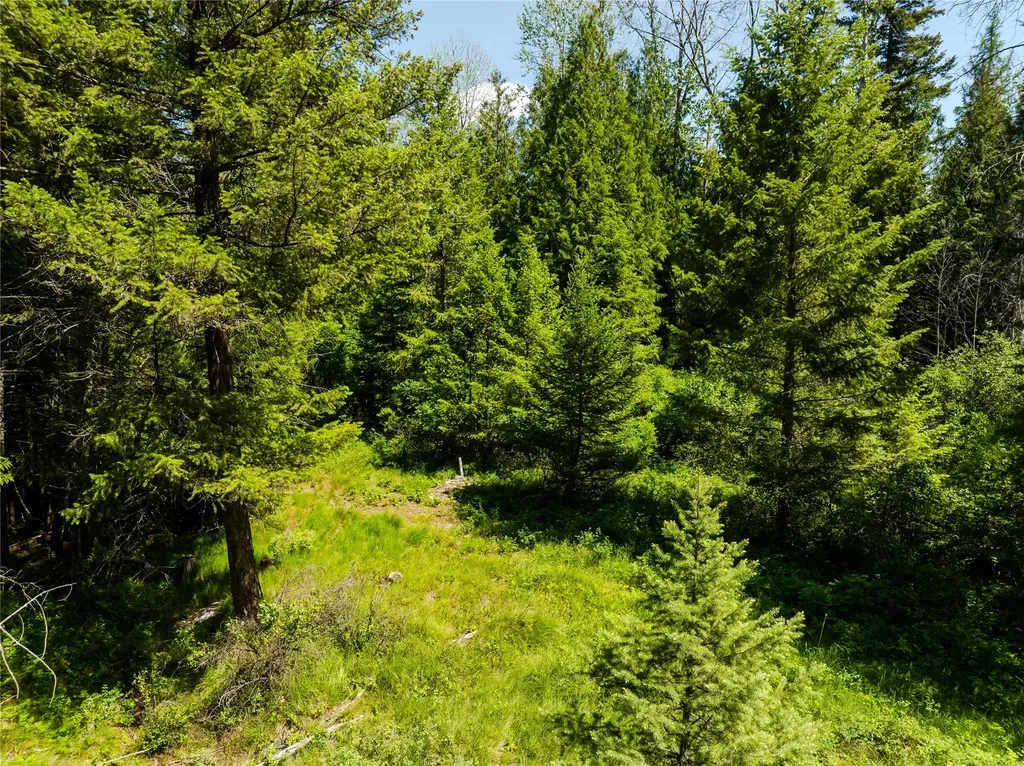 Tbd, Lot 2 Parmenter Road Libby MT 59923