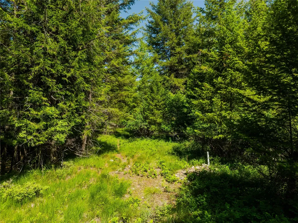 Tbd, Lot 2 Parmenter Road Libby MT 59923