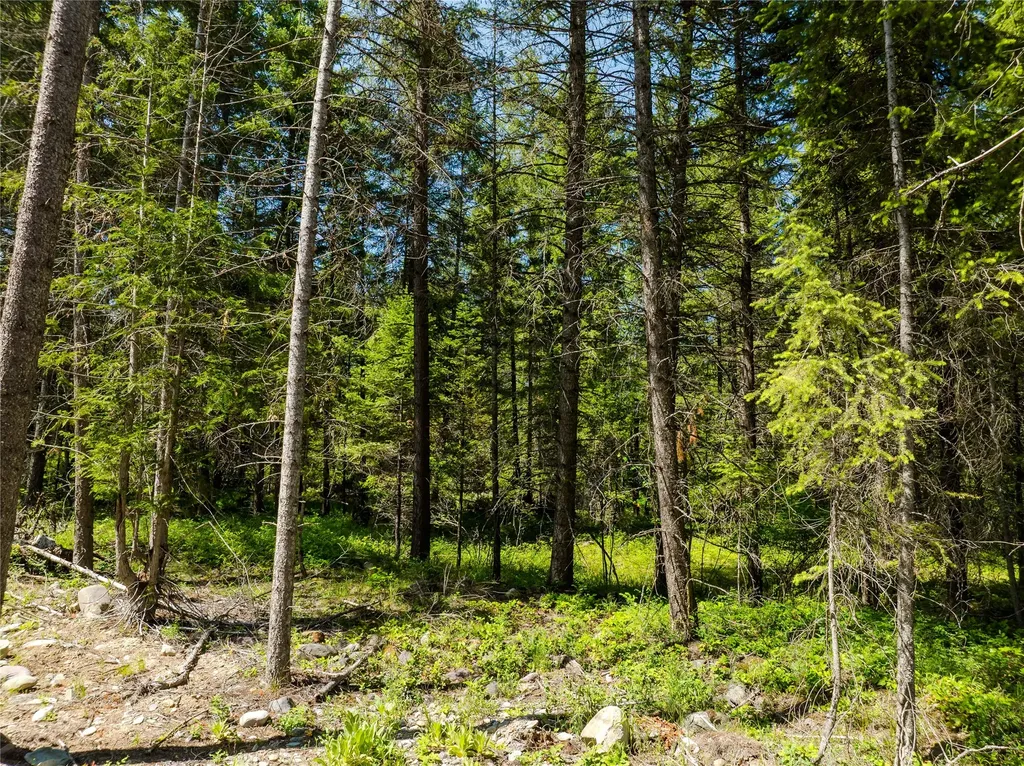 Tbd, Lot 2 Parmenter Road Libby MT 59923