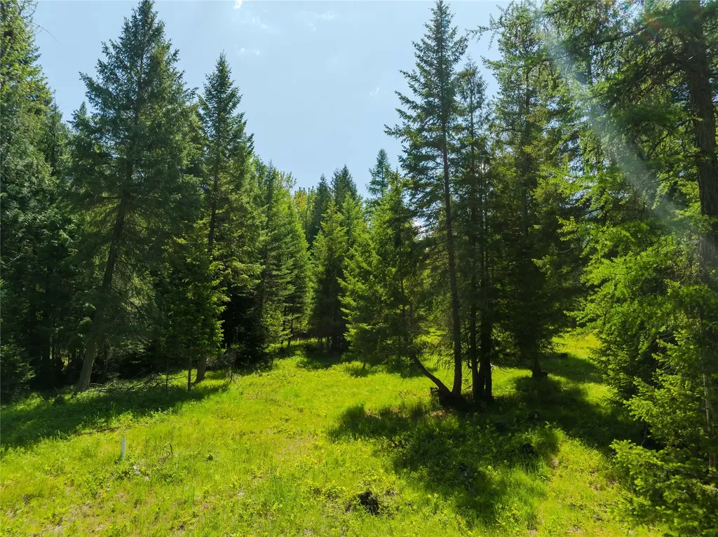 Tbd, Lot 4 Parmenter Road Libby MT 59923
