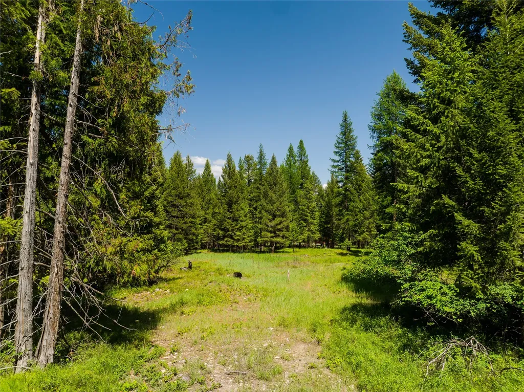 Tbd, Lot 4 Parmenter Road Libby MT 59923