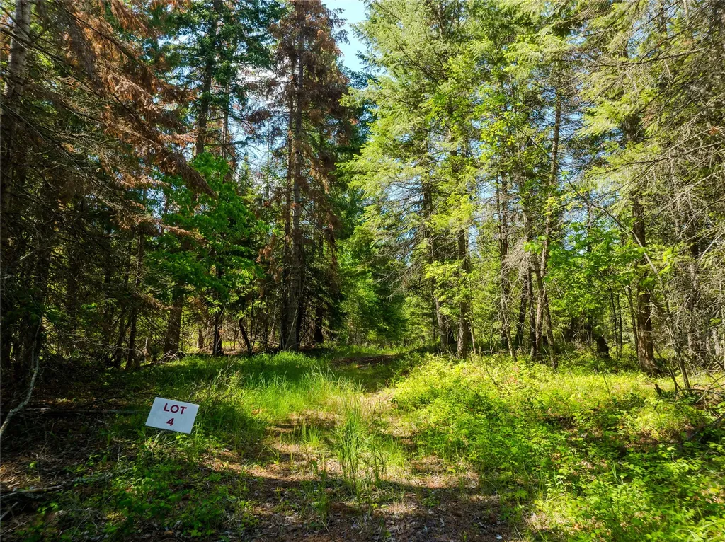 Tbd, Lot 4 Parmenter Road Libby MT 59923