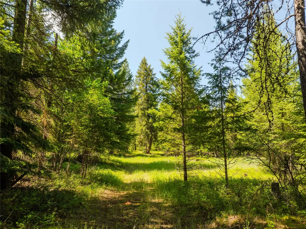 Tbd, Lot 4 Parmenter Road Libby MT 59923