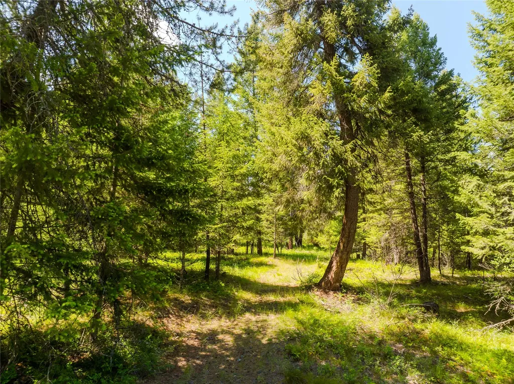 Tbd, Lot 4 Parmenter Road Libby MT 59923
