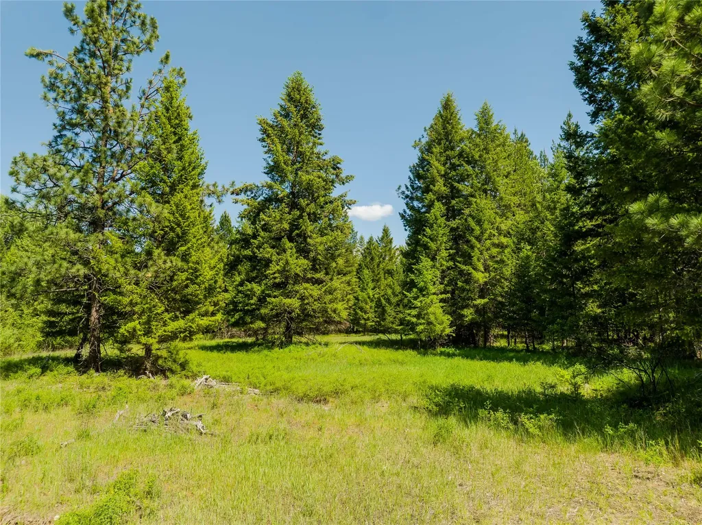 Tbd, Lot 4 Parmenter Road Libby MT 59923
