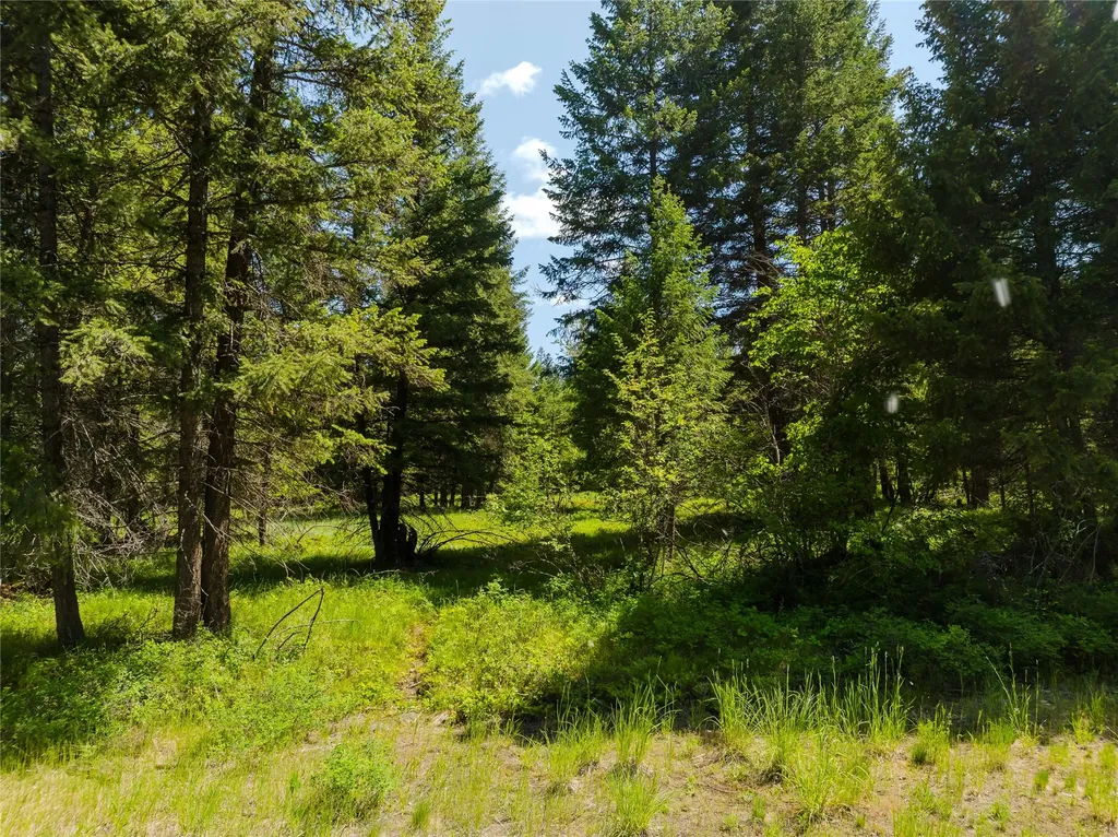 Tbd, Lot 4 Parmenter Road Libby MT 59923