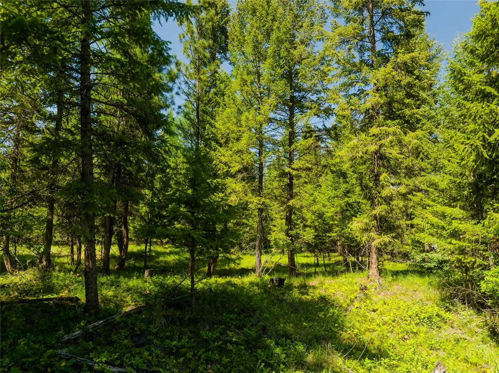 Tbd, Lot 5 Parmenter Road Libby MT 59923