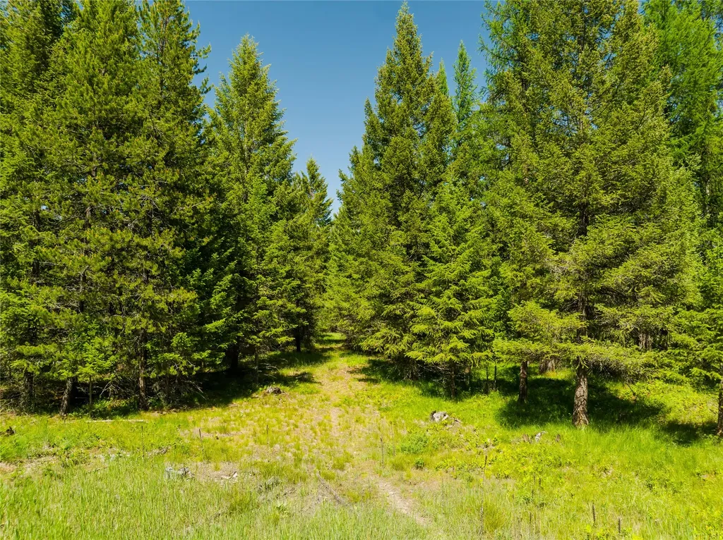 Tbd, Lot 5 Parmenter Road Libby MT 59923