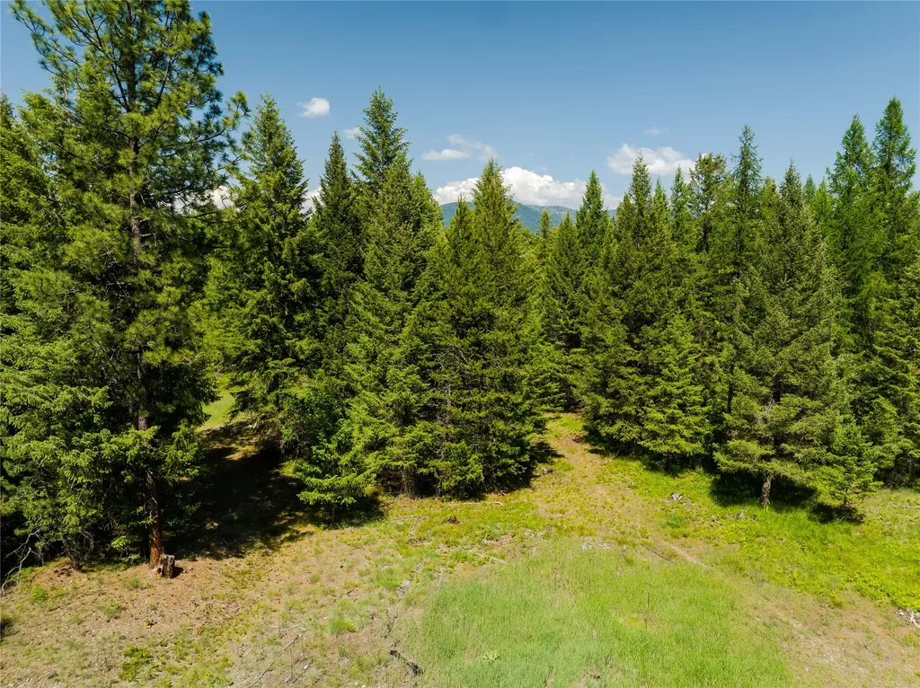 Tbd, Lot 5 Parmenter Road Libby MT 59923