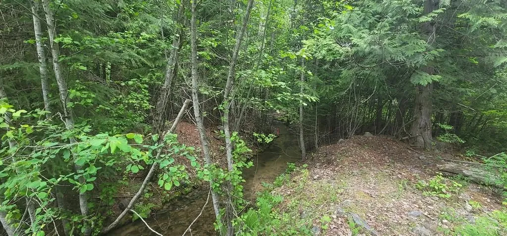 Tbd, Lot 5 Parmenter Road Libby MT 59923