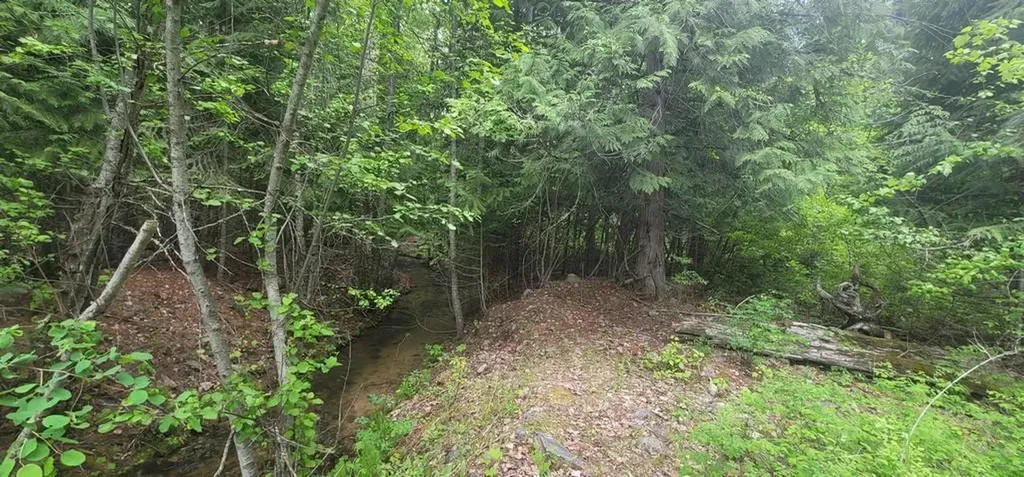 Tbd, Lot 5 Parmenter Road Libby MT 59923