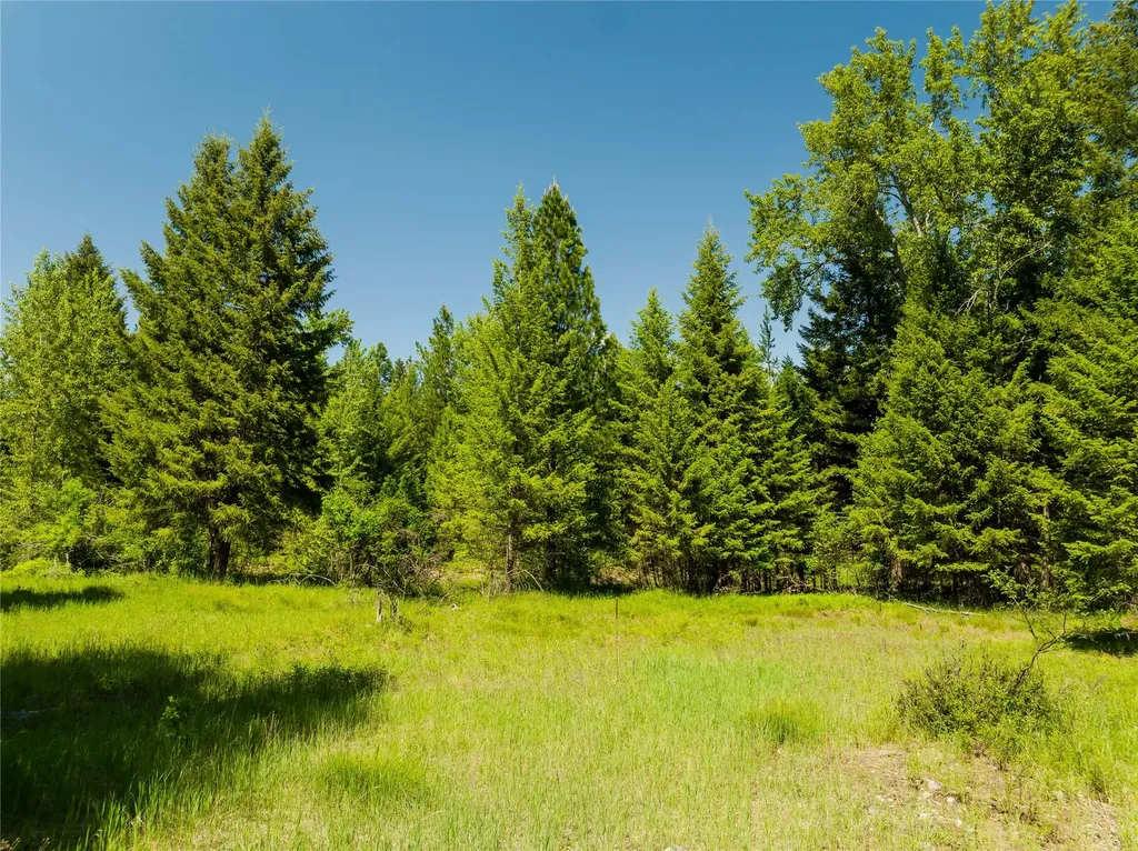Tbd, Lot 5 Parmenter Road Libby MT 59923
