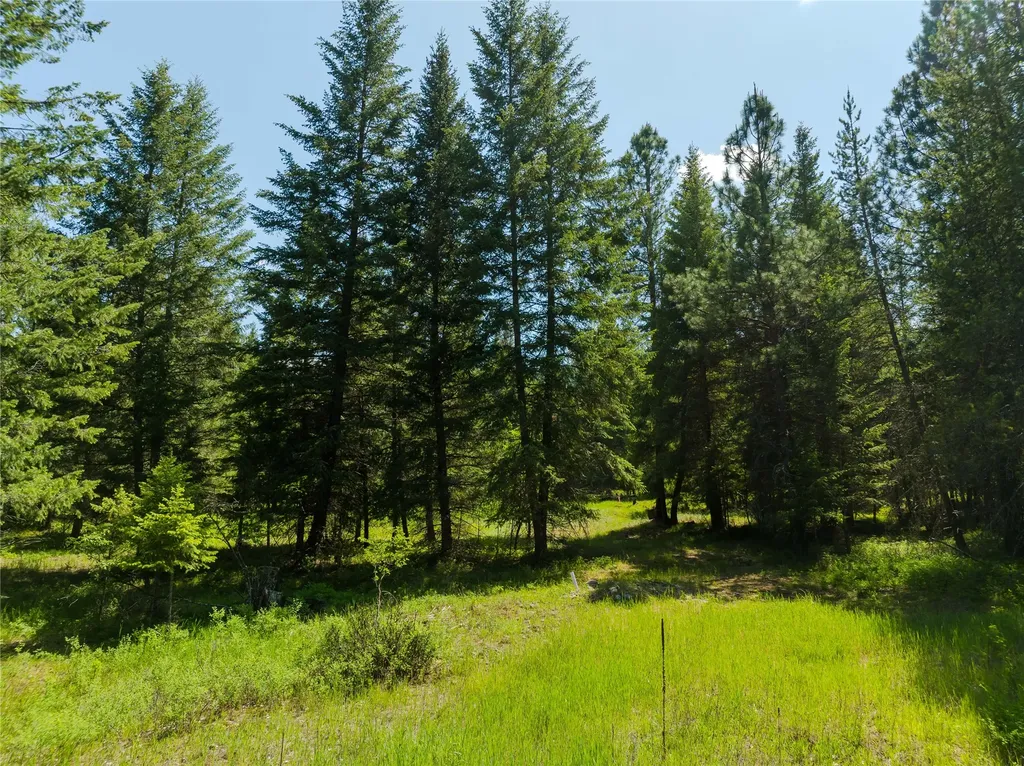 Tbd, Lot 5 Parmenter Road Libby MT 59923