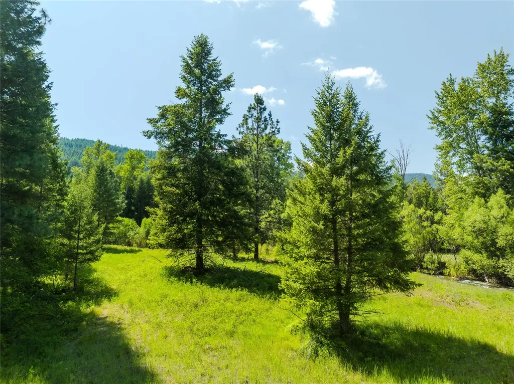 Tbd, Lot 5 Parmenter Road Libby MT 59923