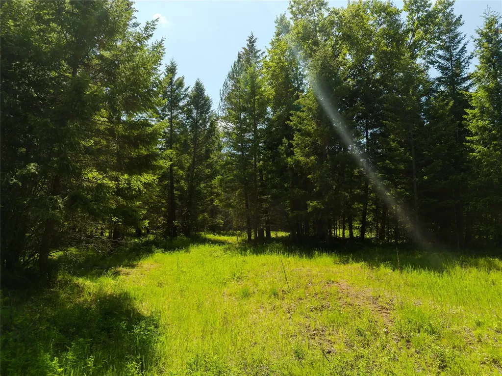 Tbd, Lot 5 Parmenter Road Libby MT 59923