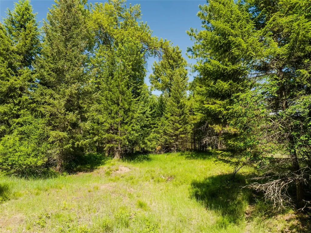 Tbd, Lot 5 Parmenter Road Libby MT 59923