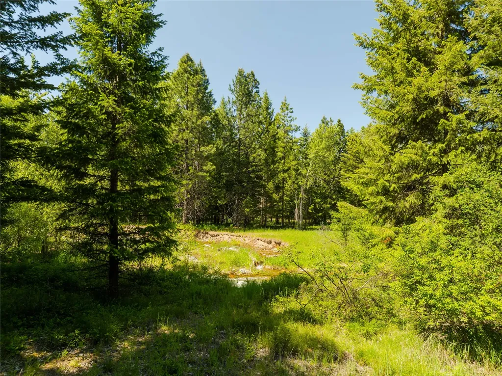 Tbd, Lot 5 Parmenter Road Libby MT 59923