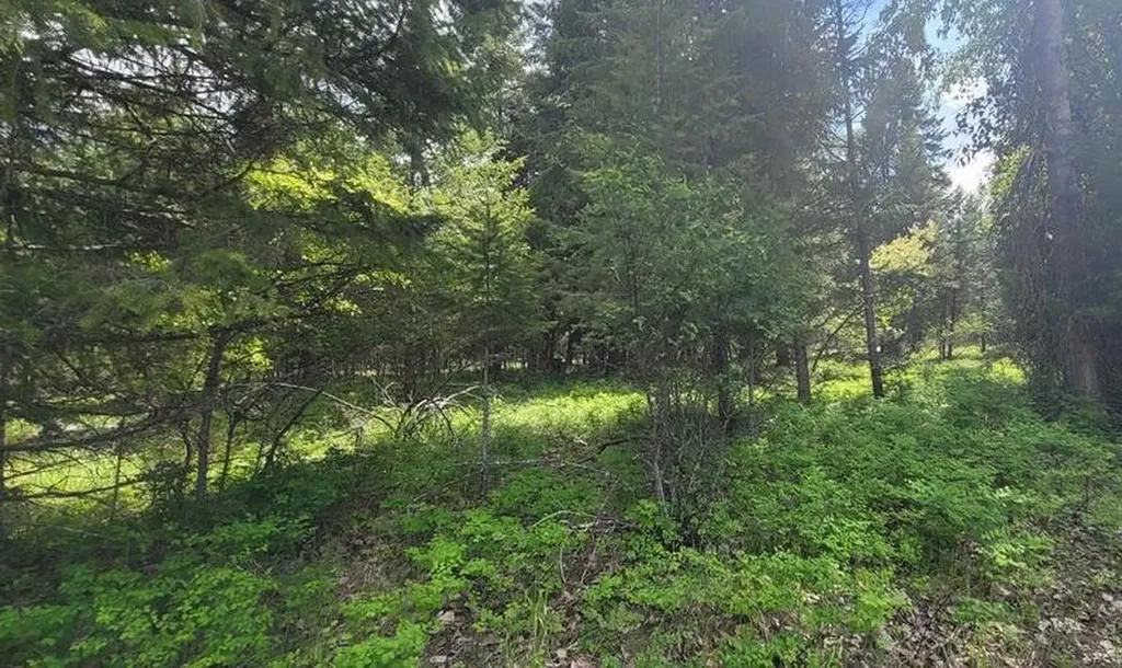 Tbd, Lot 5 Parmenter Road Libby MT 59923