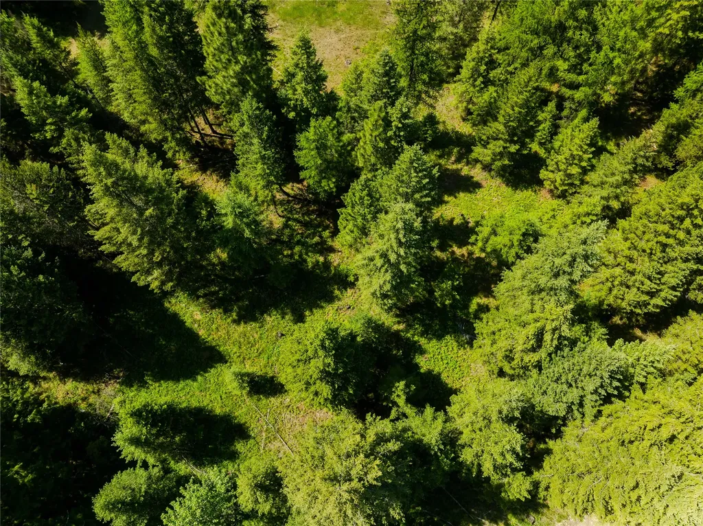 Tbd, Lot 5 Parmenter Road Libby MT 59923