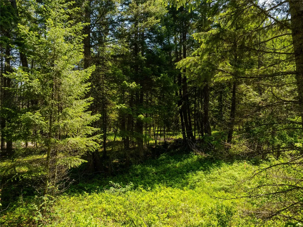 Tbd, Lot 1 Parmenter Road Libby MT 59923