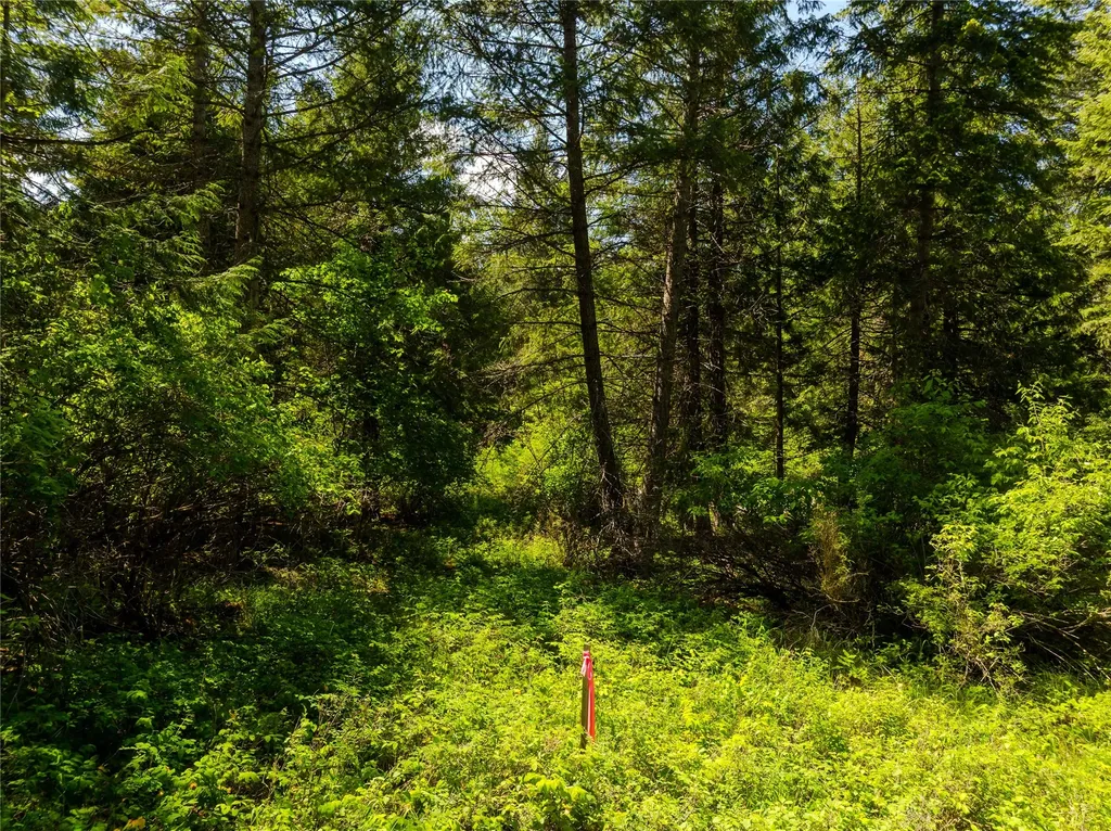 Tbd, Lot 1 Parmenter Road Libby MT 59923